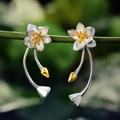 Boucles d'oreilles en Argent 